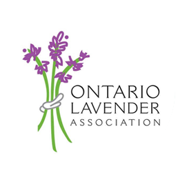 Ontario lavender association
