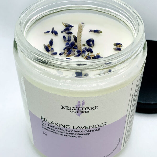 Belvedere-Lavender-soy-candle